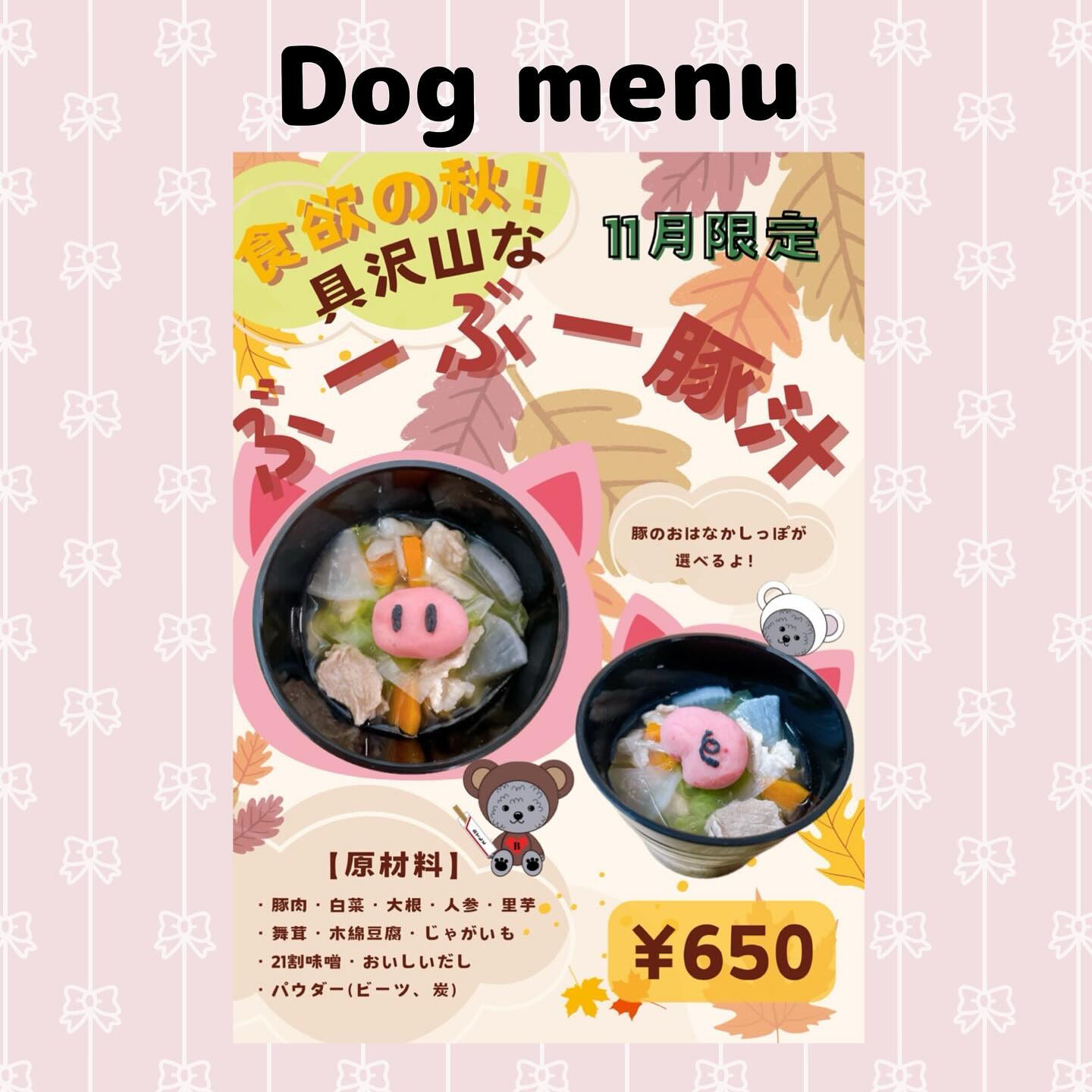 こんにちは🌷