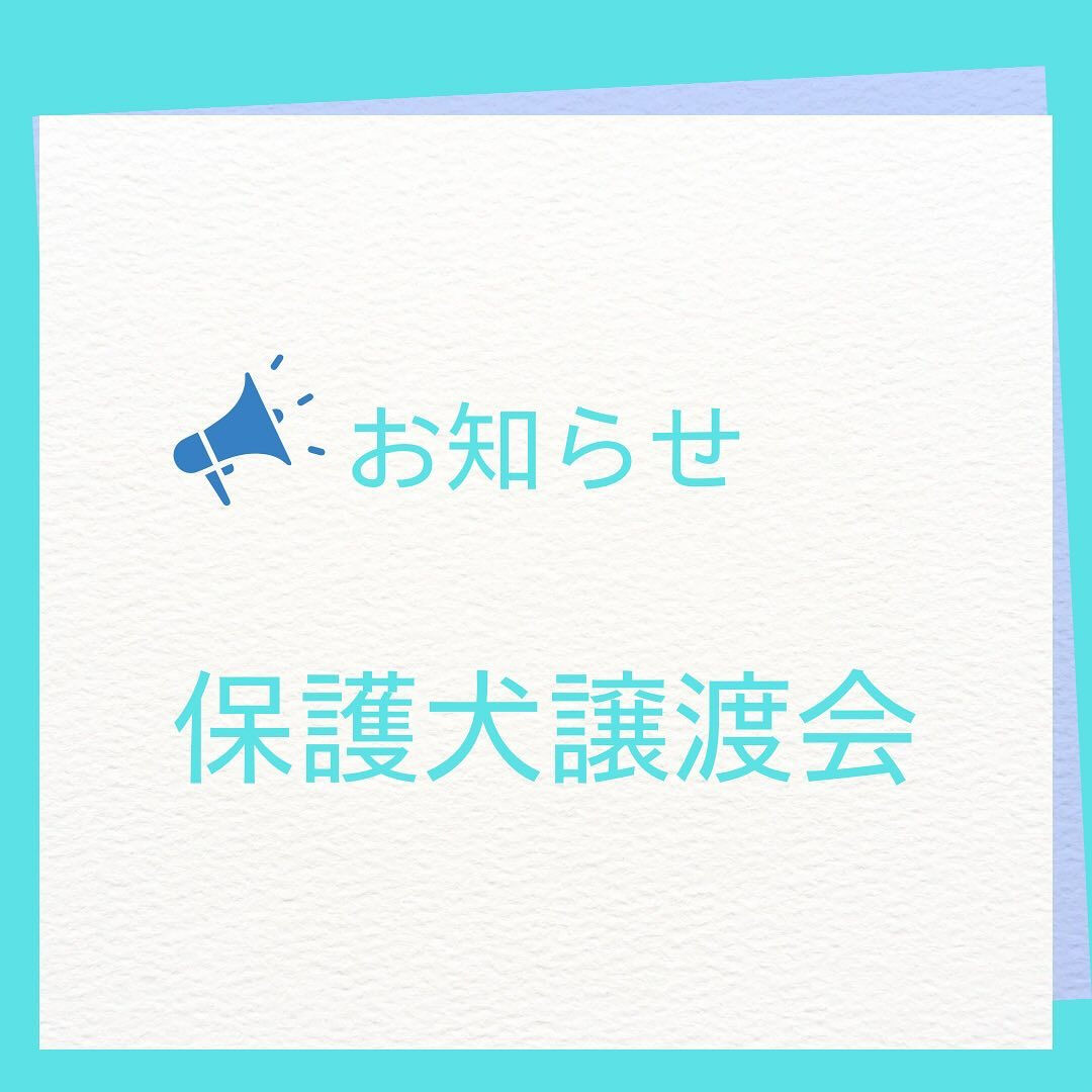 こんにちは🌷