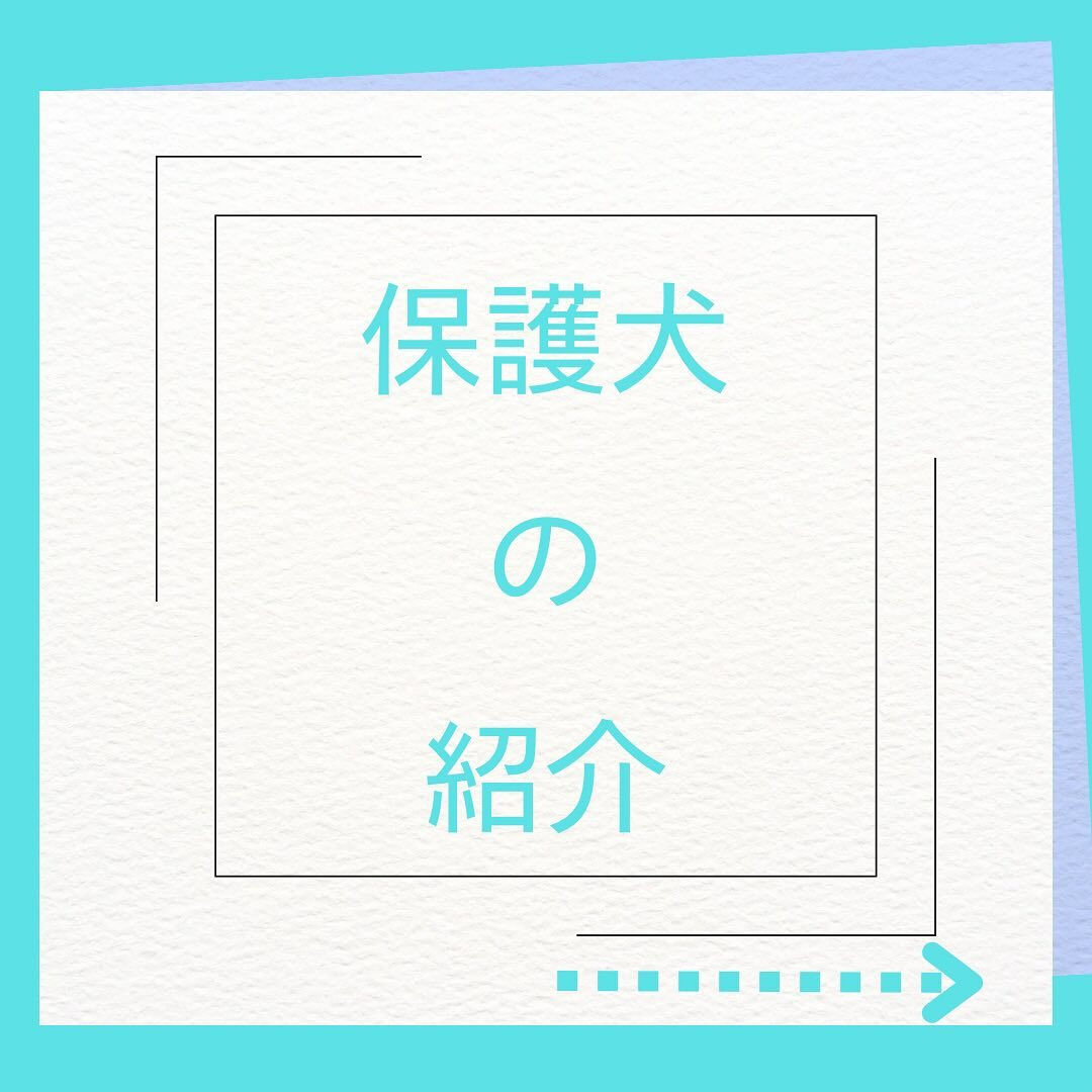 こんにちは🌷