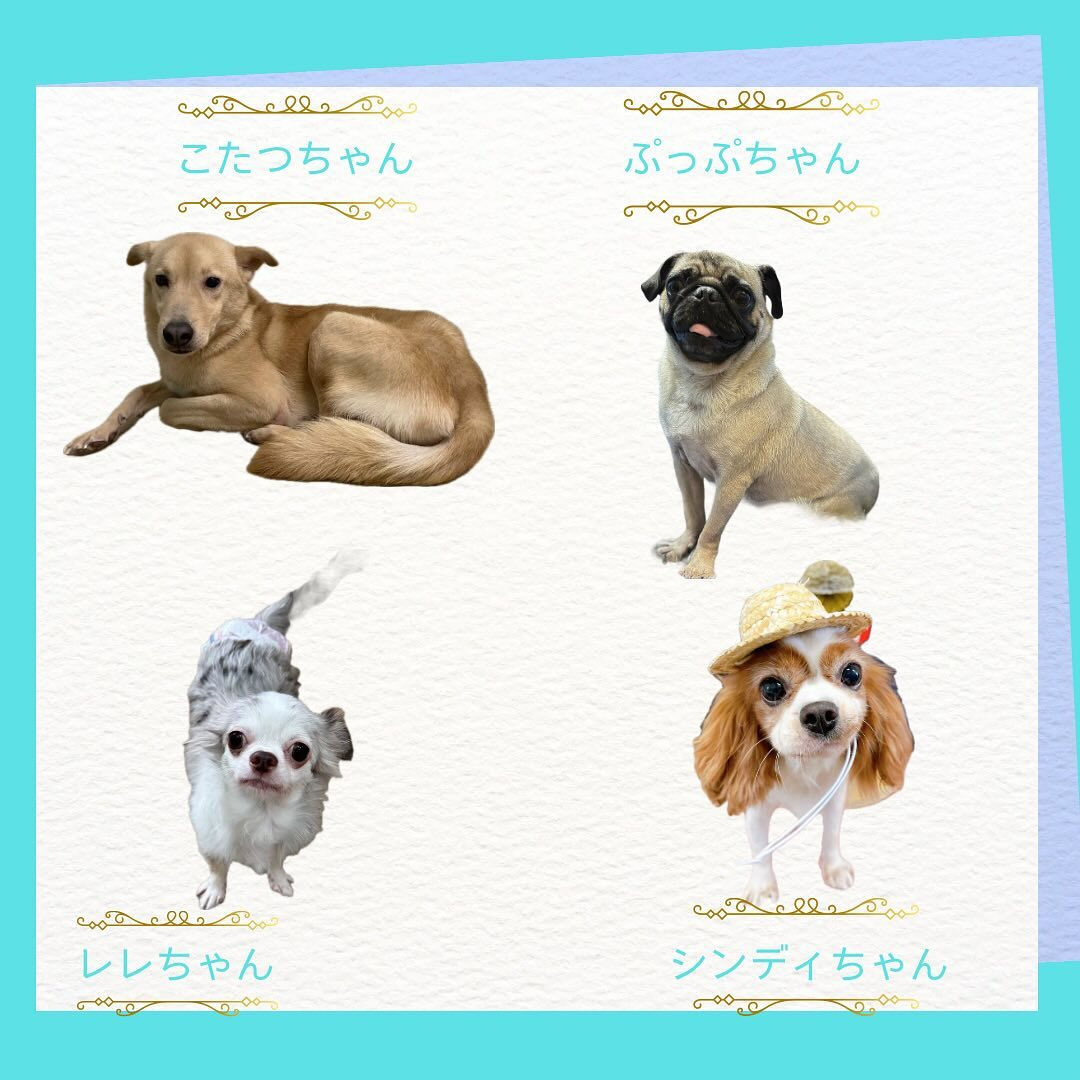 こんにちは🌷