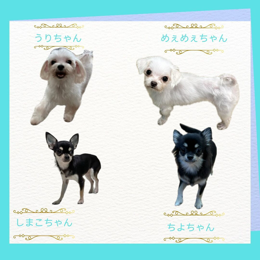 こんにちは🌷
