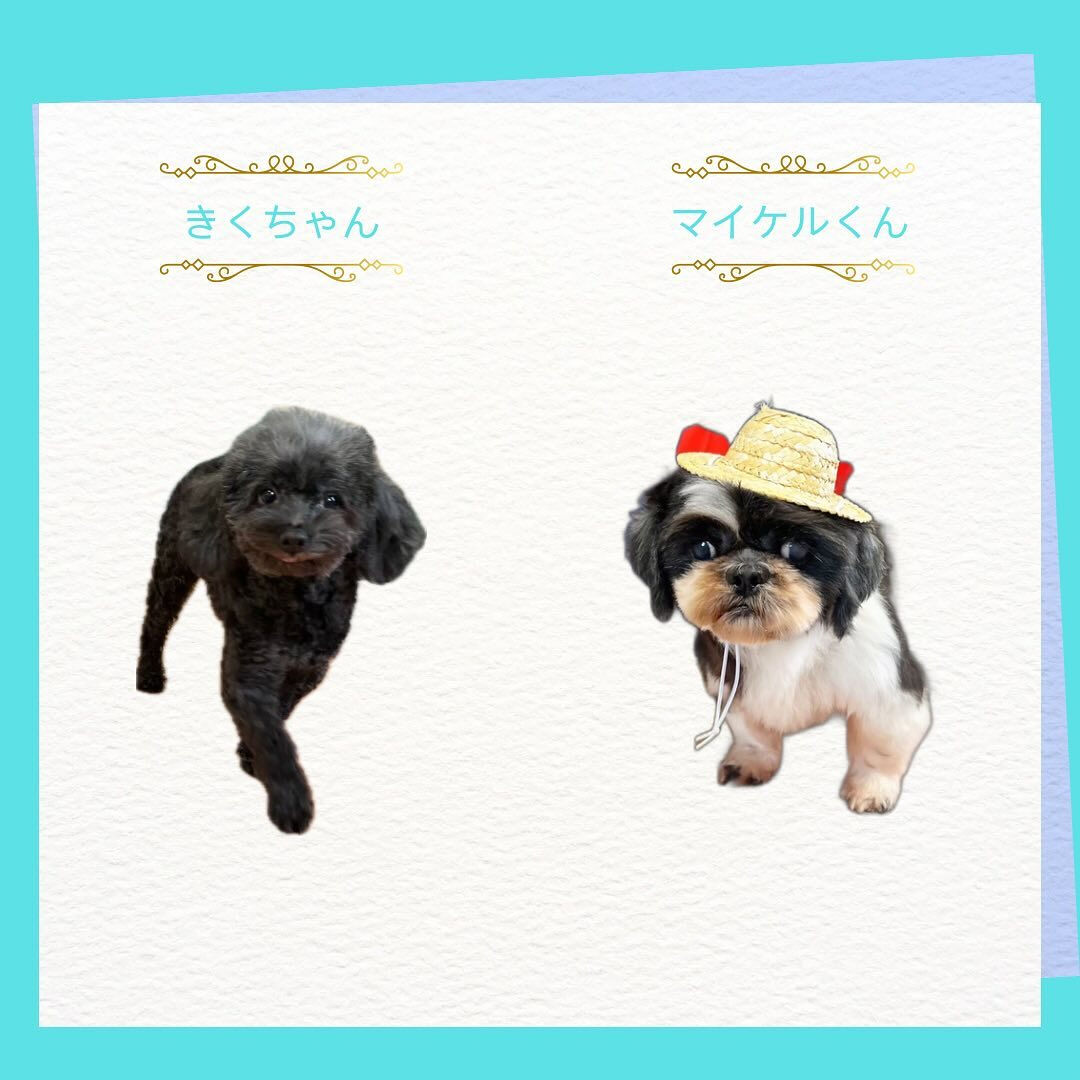 こんにちは🌷