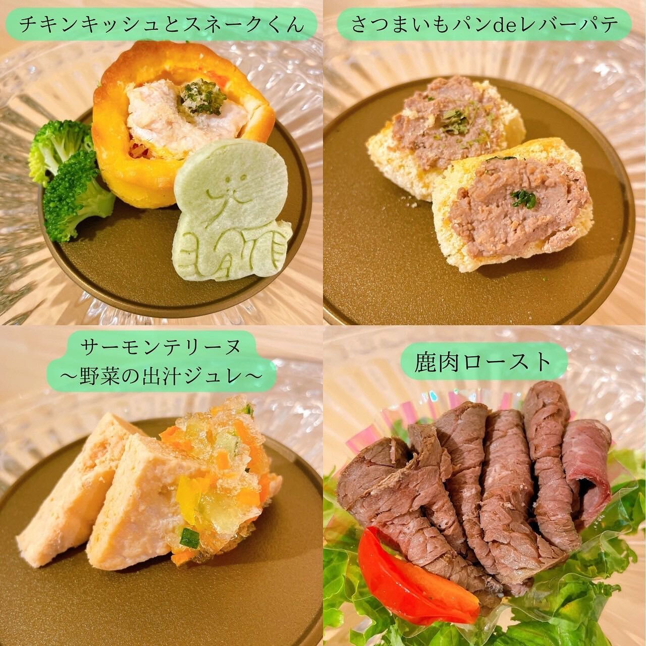 こんにちは🌷