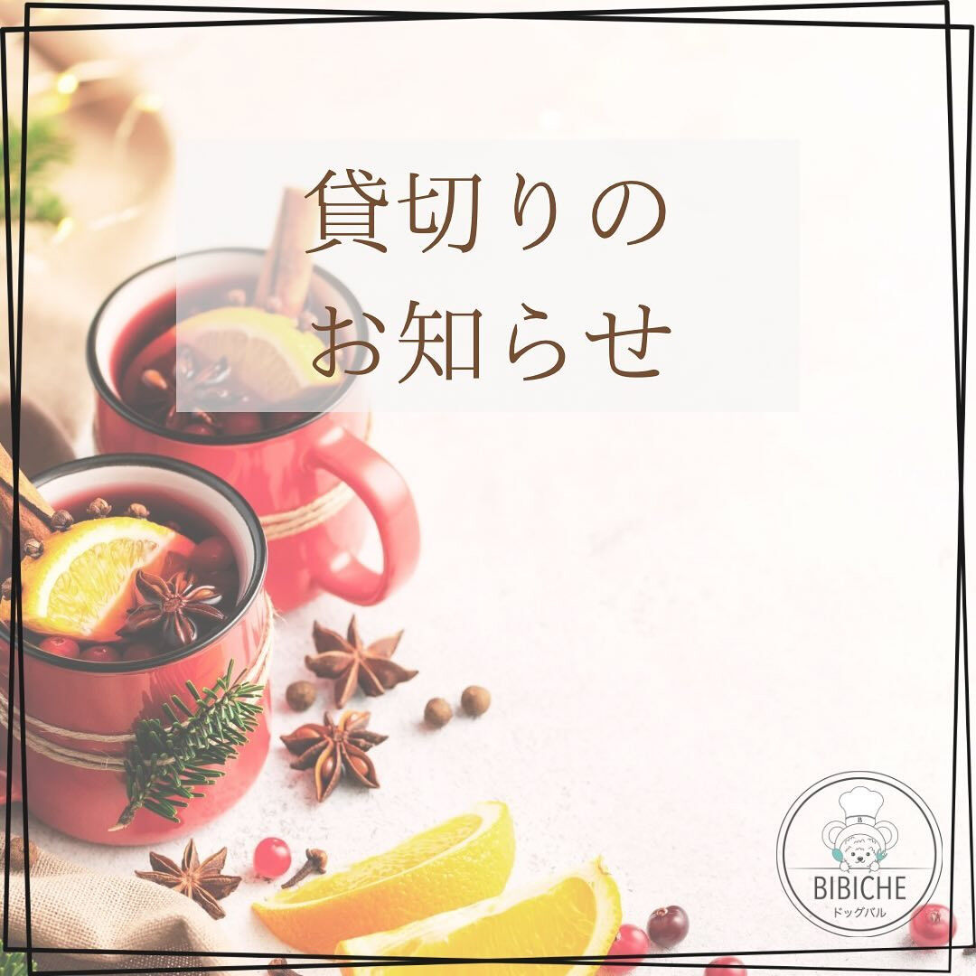 こんにちは🌷