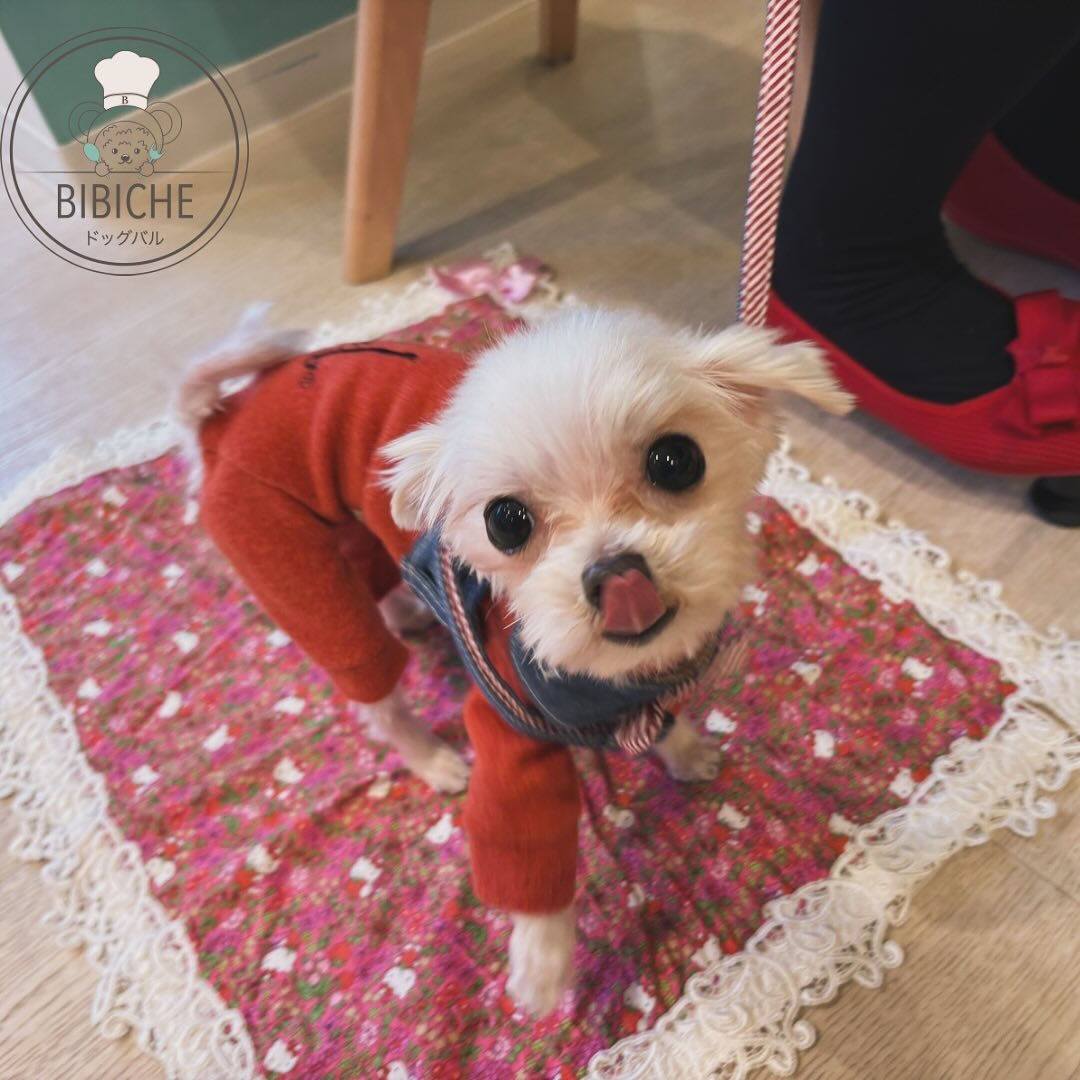 こんにちは🌷