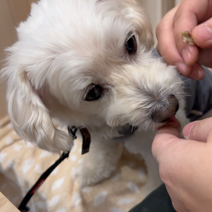 ブログ