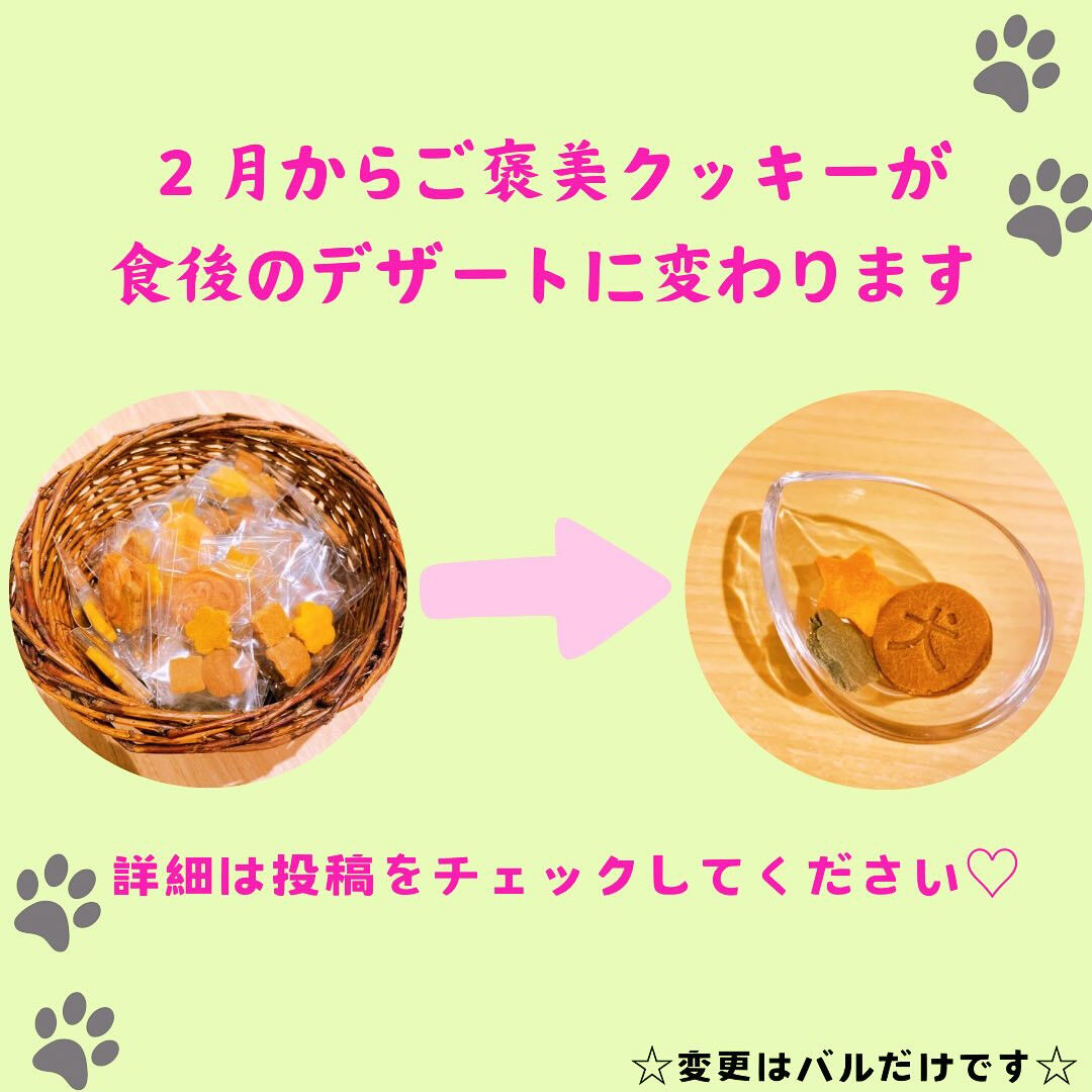 こんにちは🌞