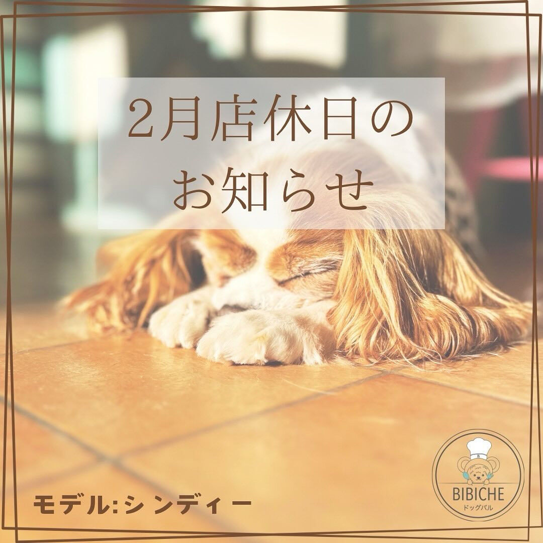 こんにちは🌞
