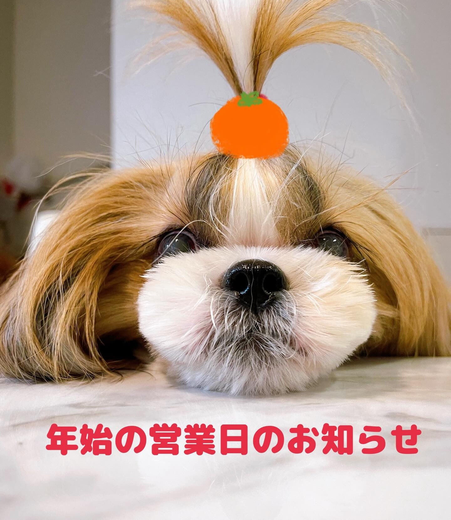 こんにちは☔️
