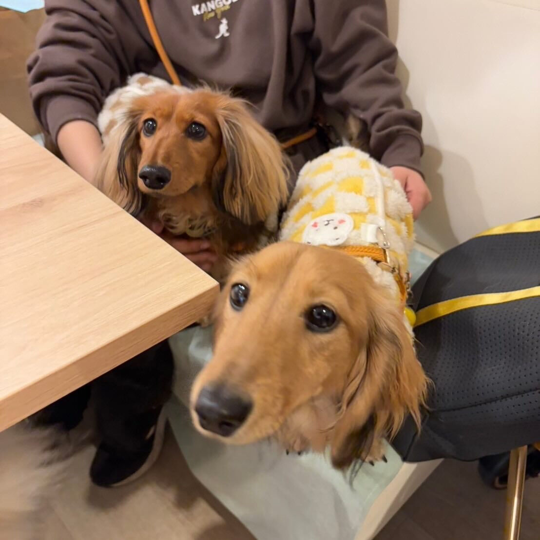 こんにちは☔️