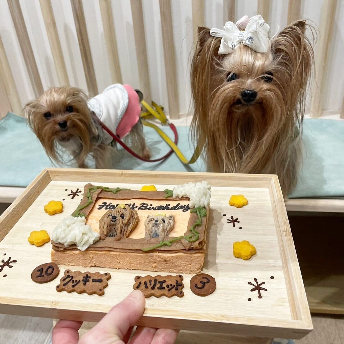 こんにちは☔️