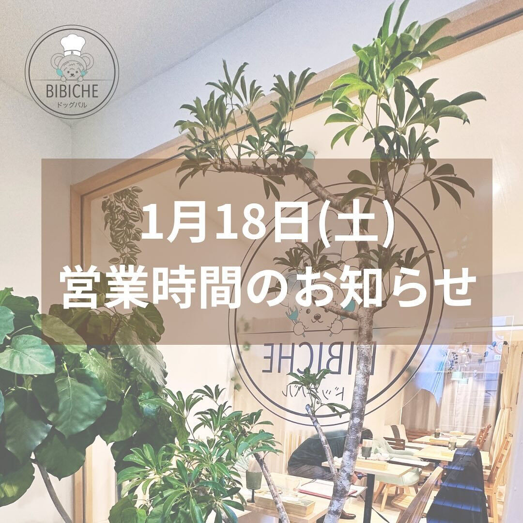 こんにちは☔️
