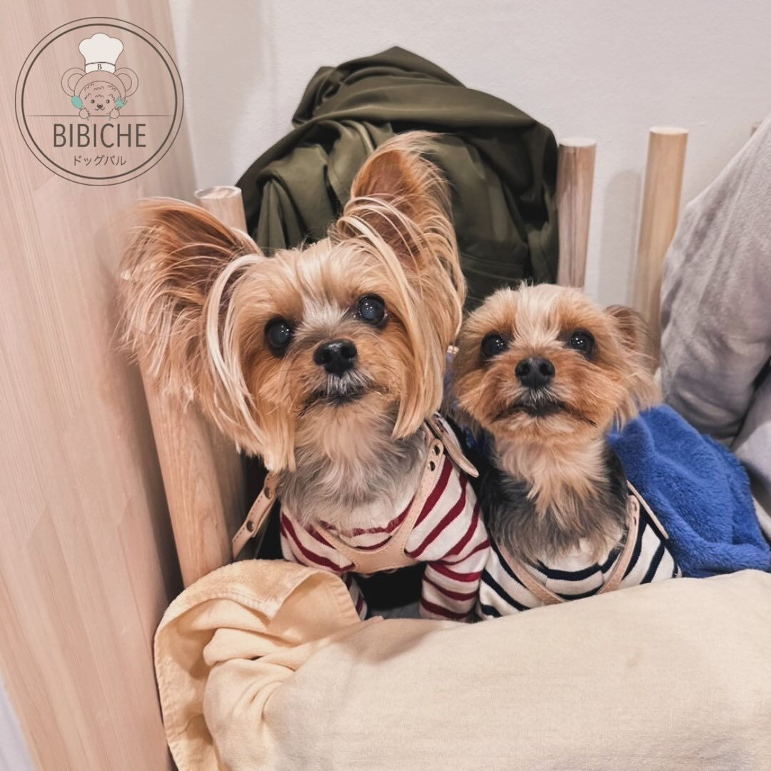 こんにちは☔️