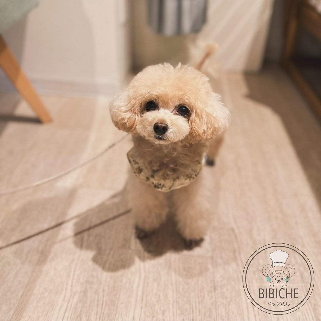 こんにちは☔️