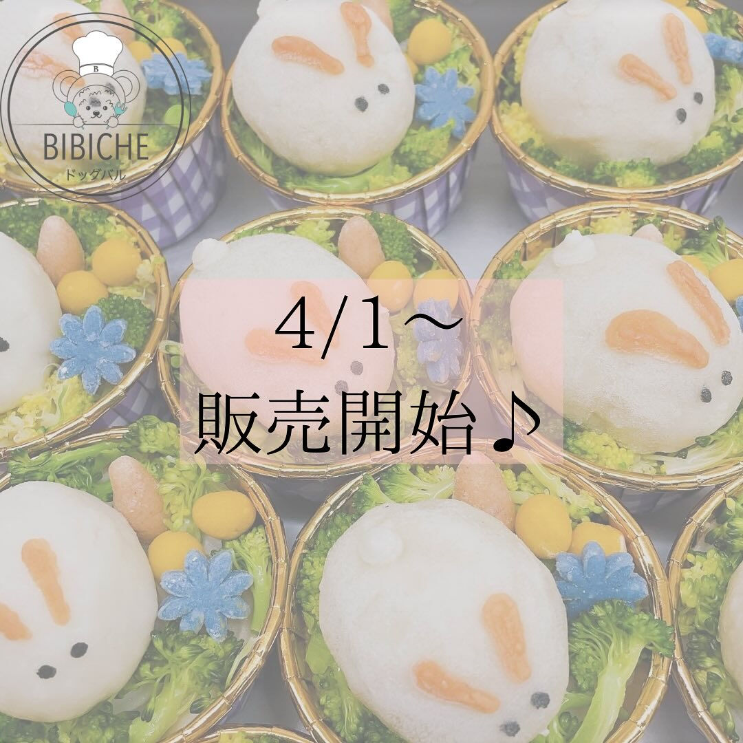 こんにちは！