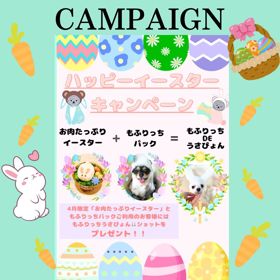 こんにちは！