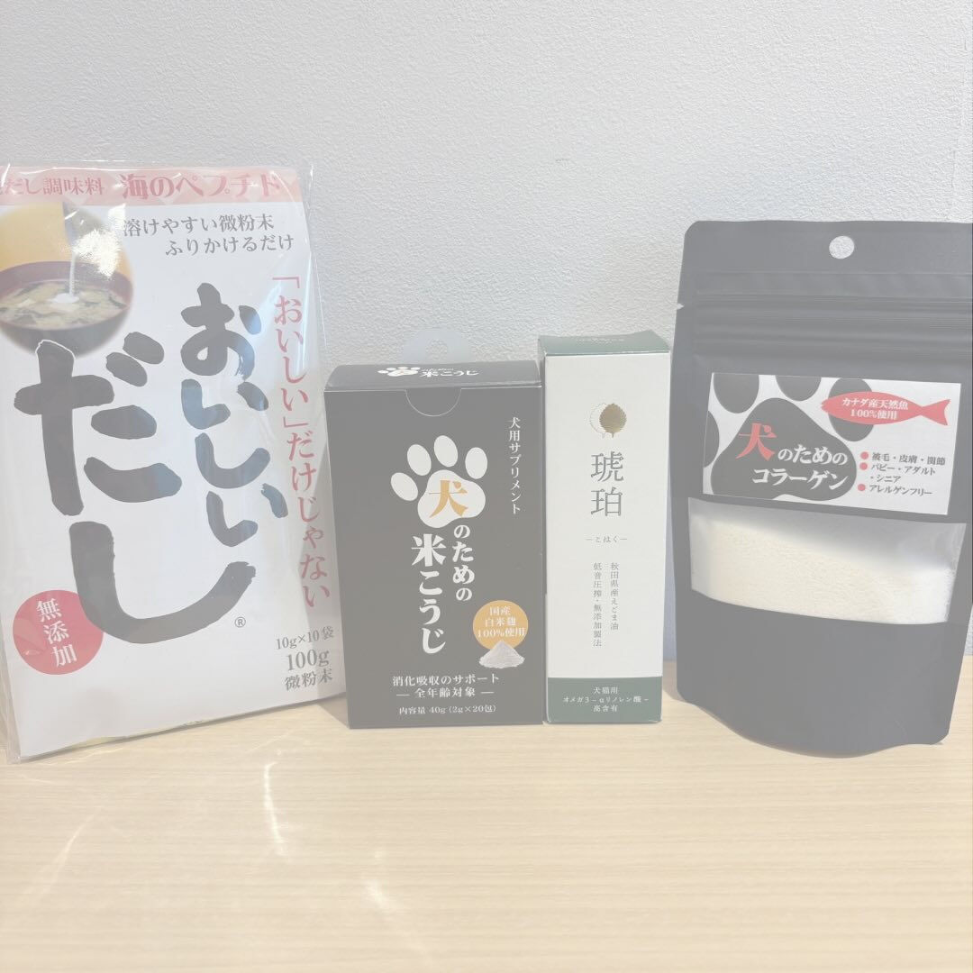 こんにちは！