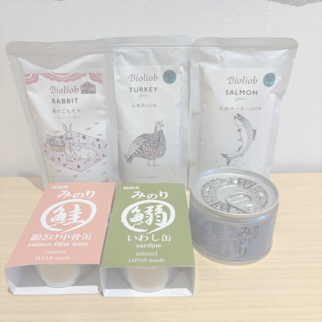 こんにちは！