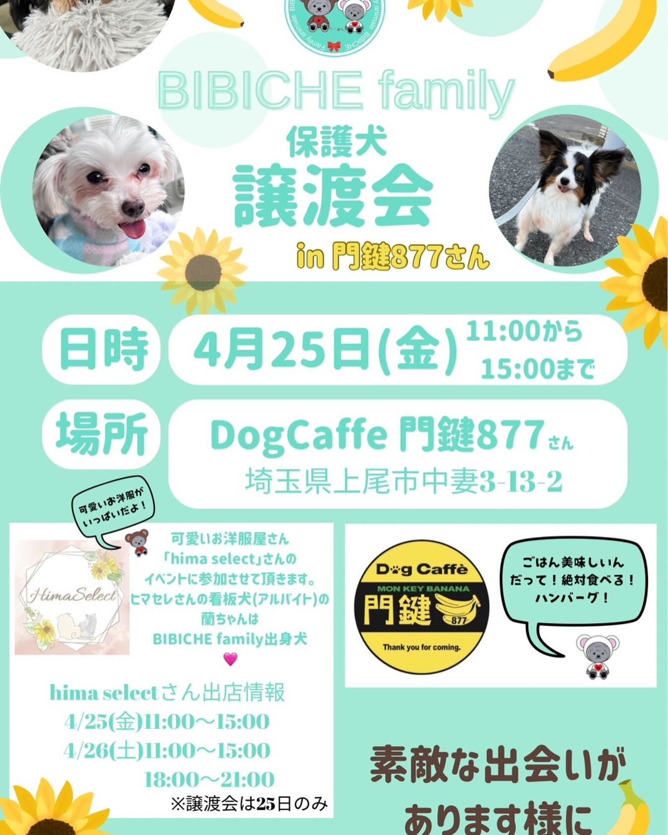 こんにちは🌷