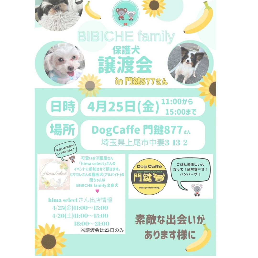 こんにちは🌷