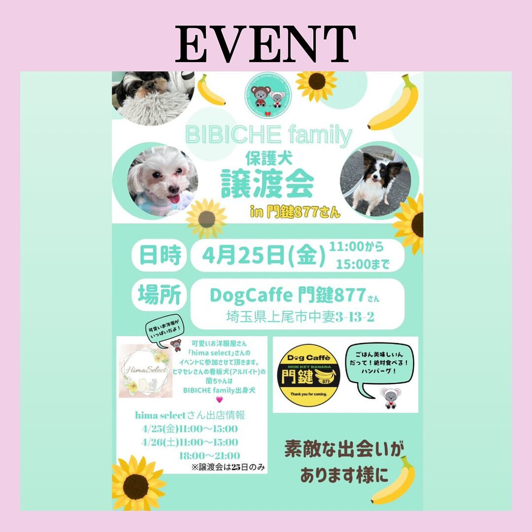こんにちは！