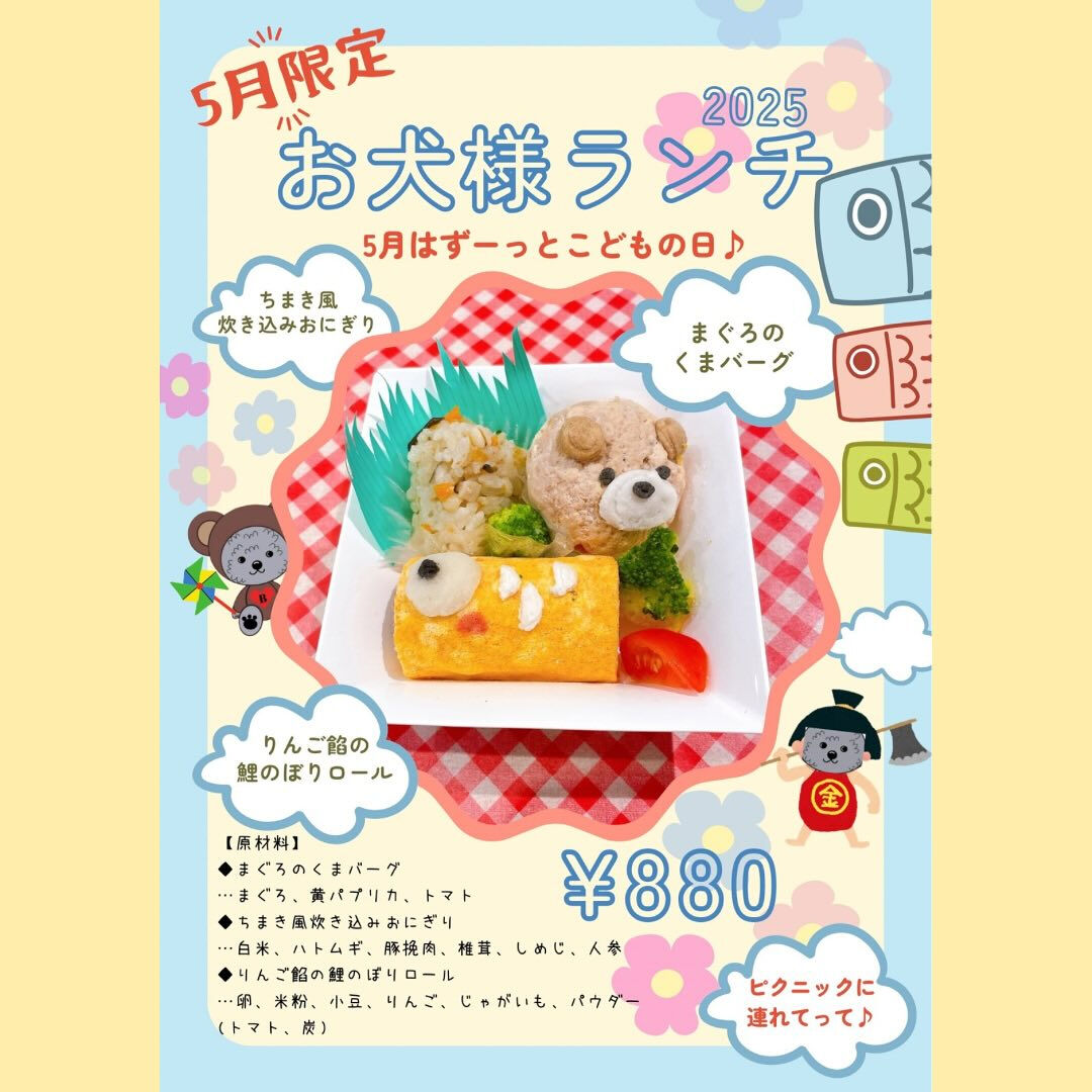 こんにちは🌷