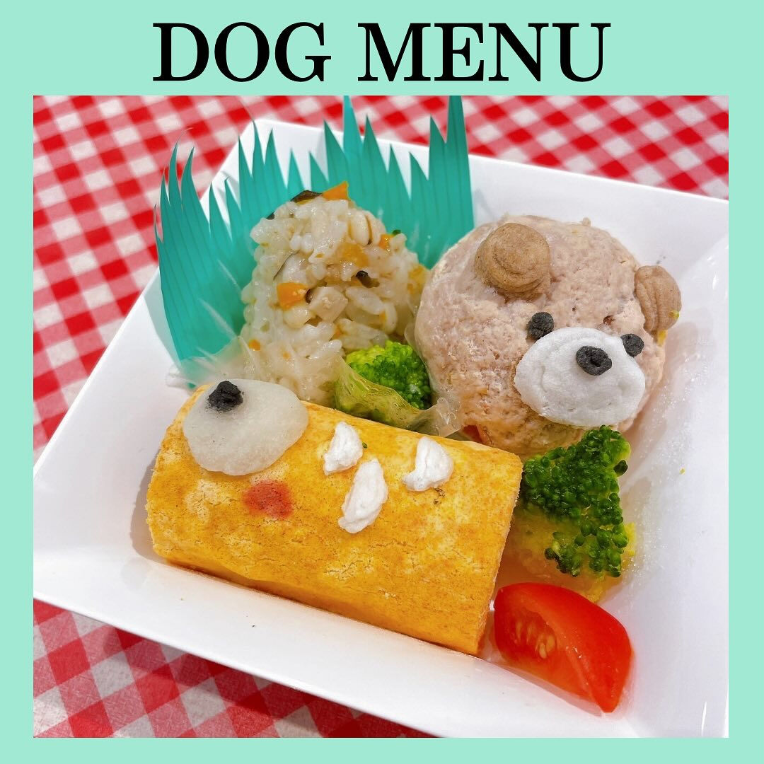 こんにちは！