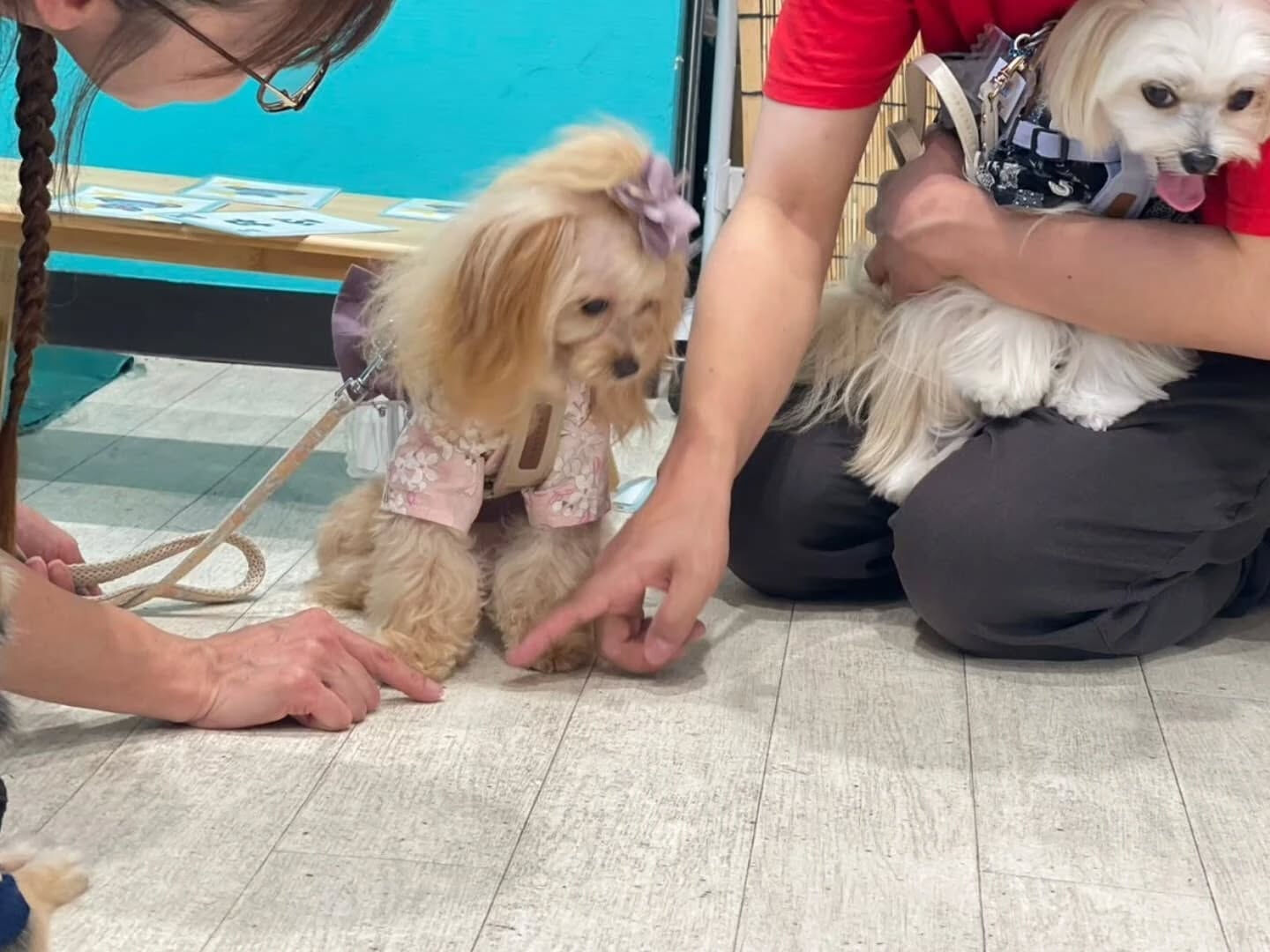 こんにちは☔️