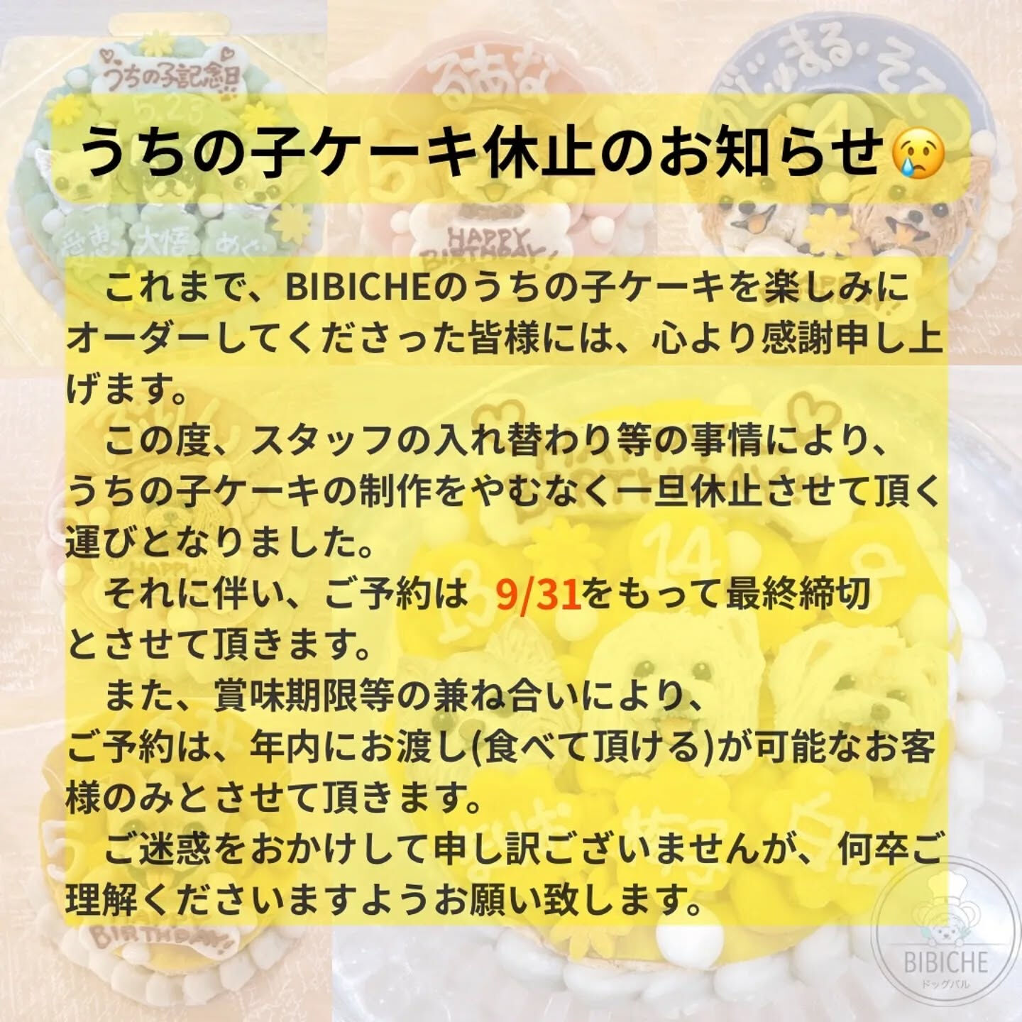 こんにちは☔️