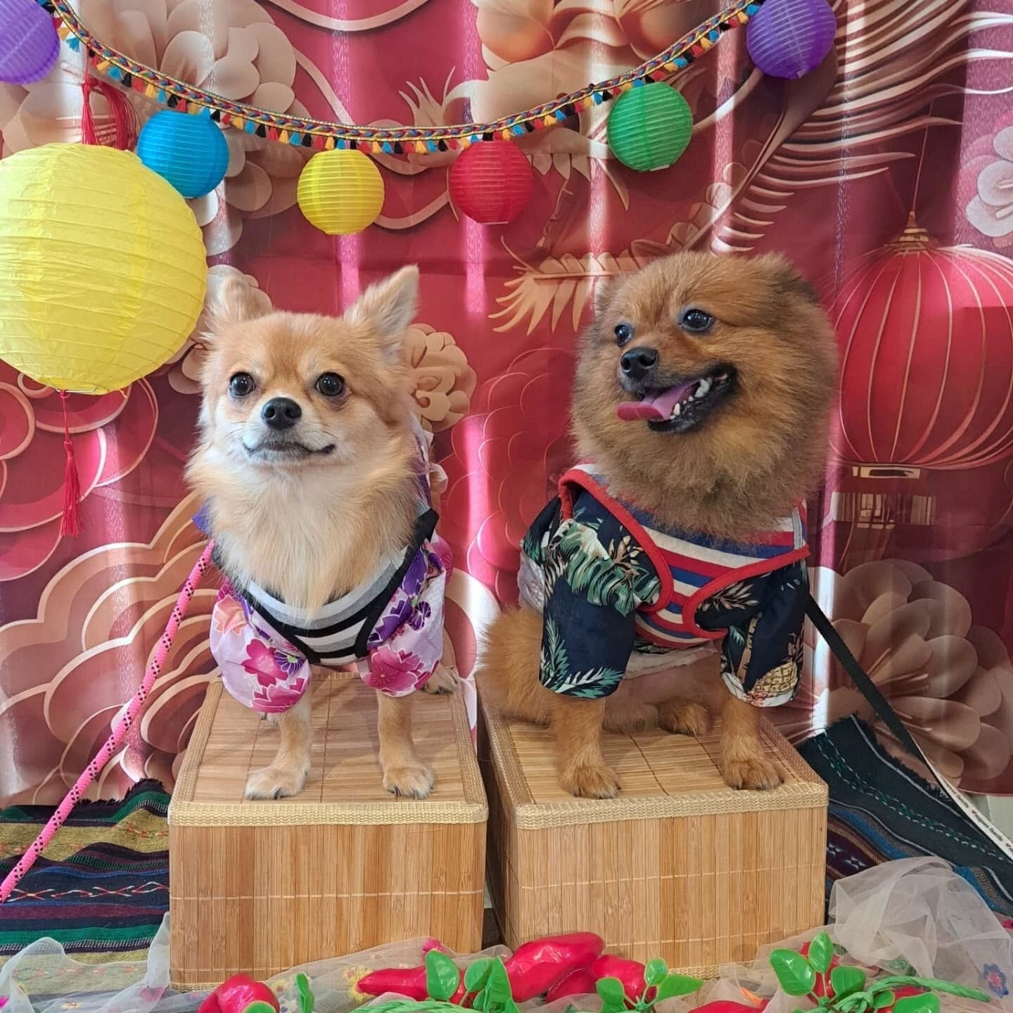こんにちは☔️