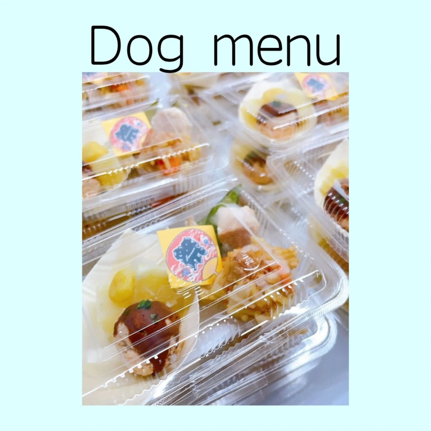 こんにちは🌷