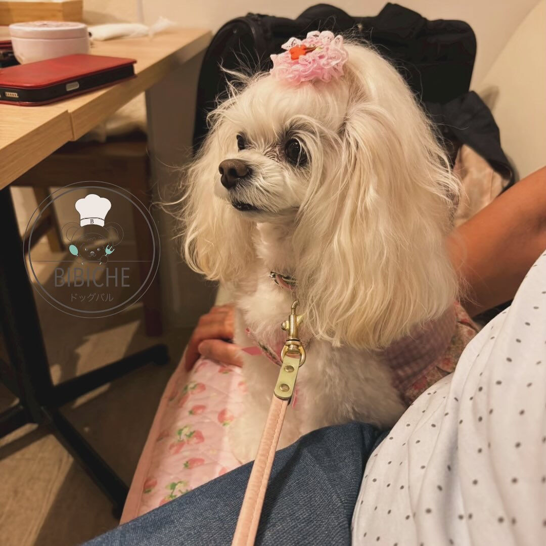 こんにちは🌷