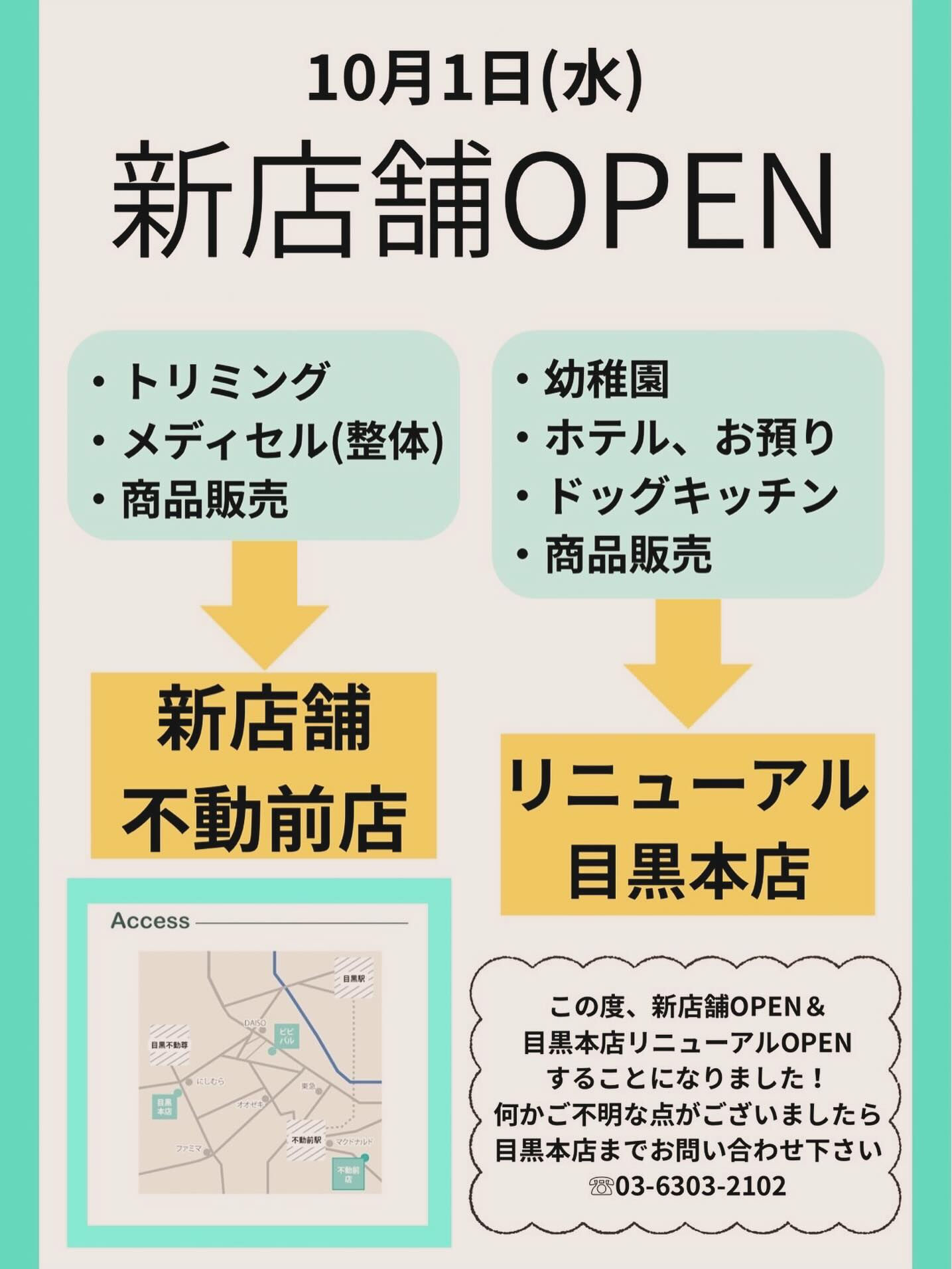 こんにちは🌷