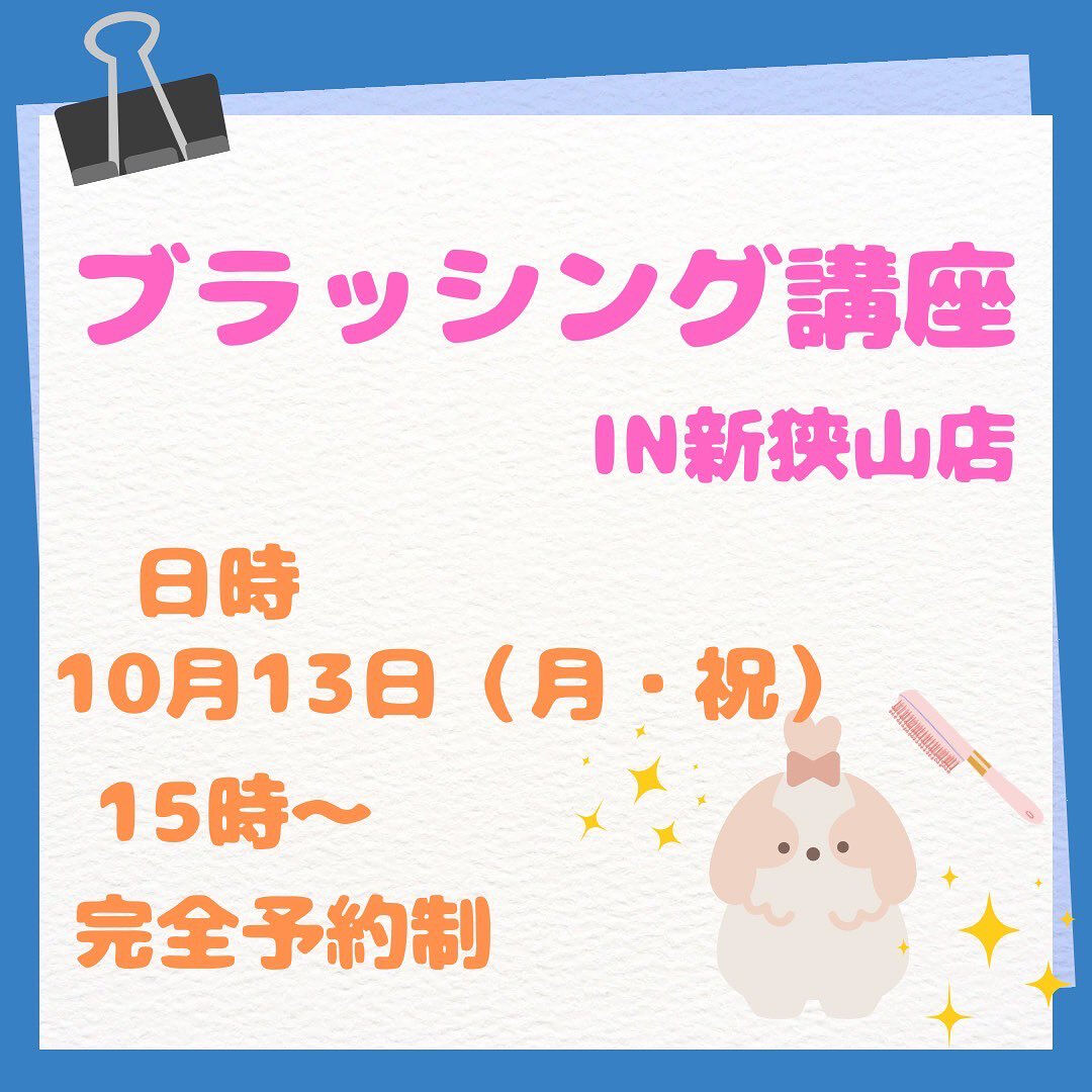 こんにちは🌷