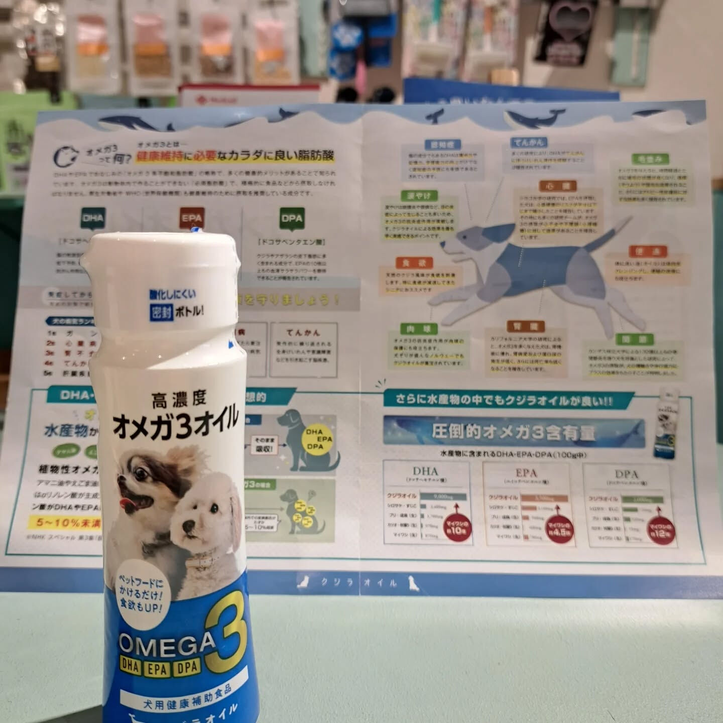 こんにちは🌷