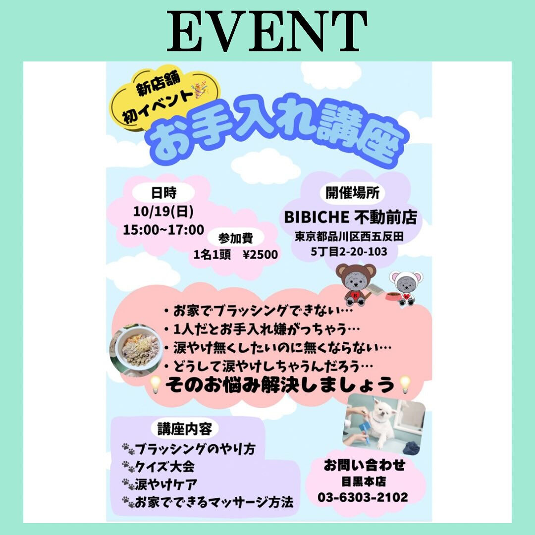 こんにちは🌷