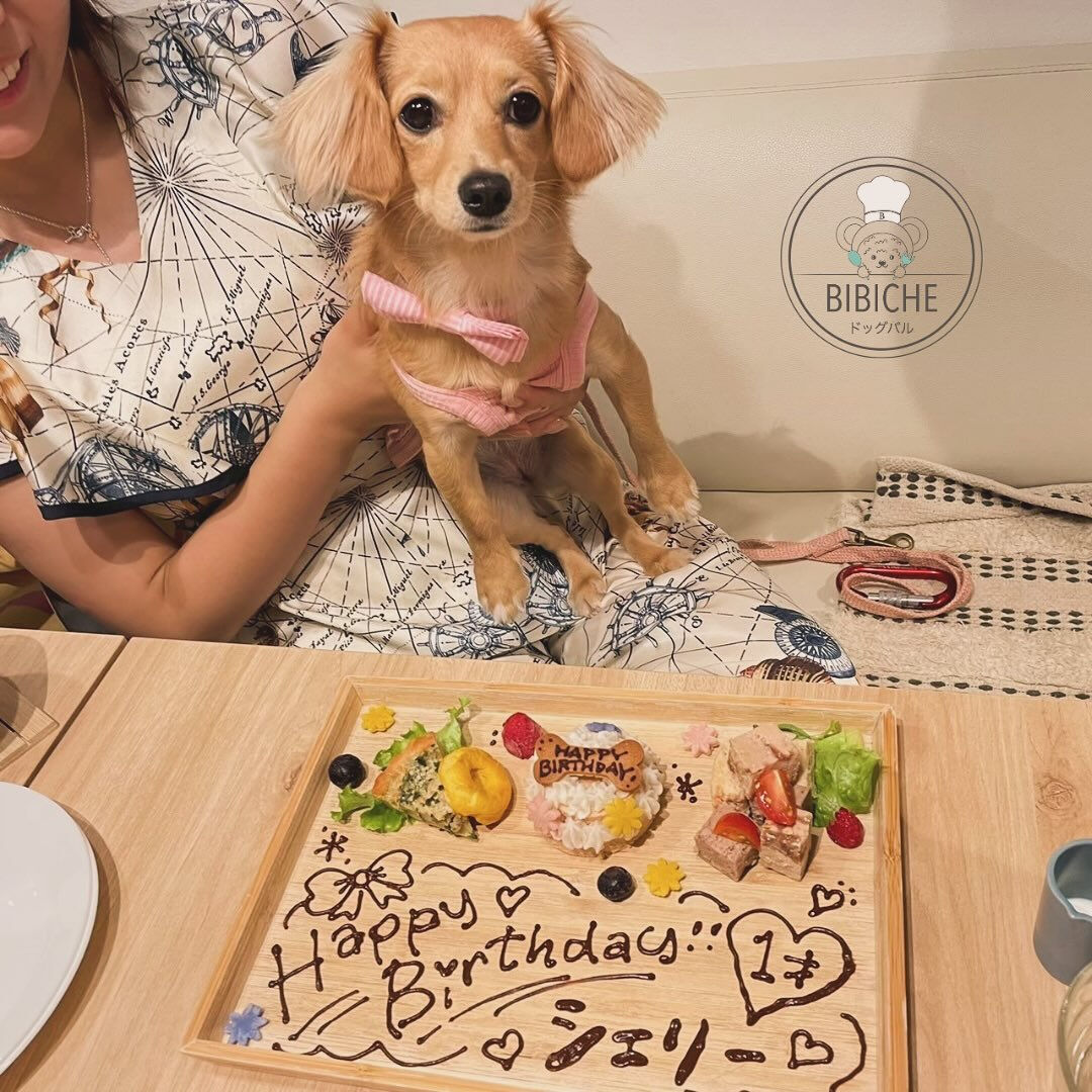 こんにちは🌷