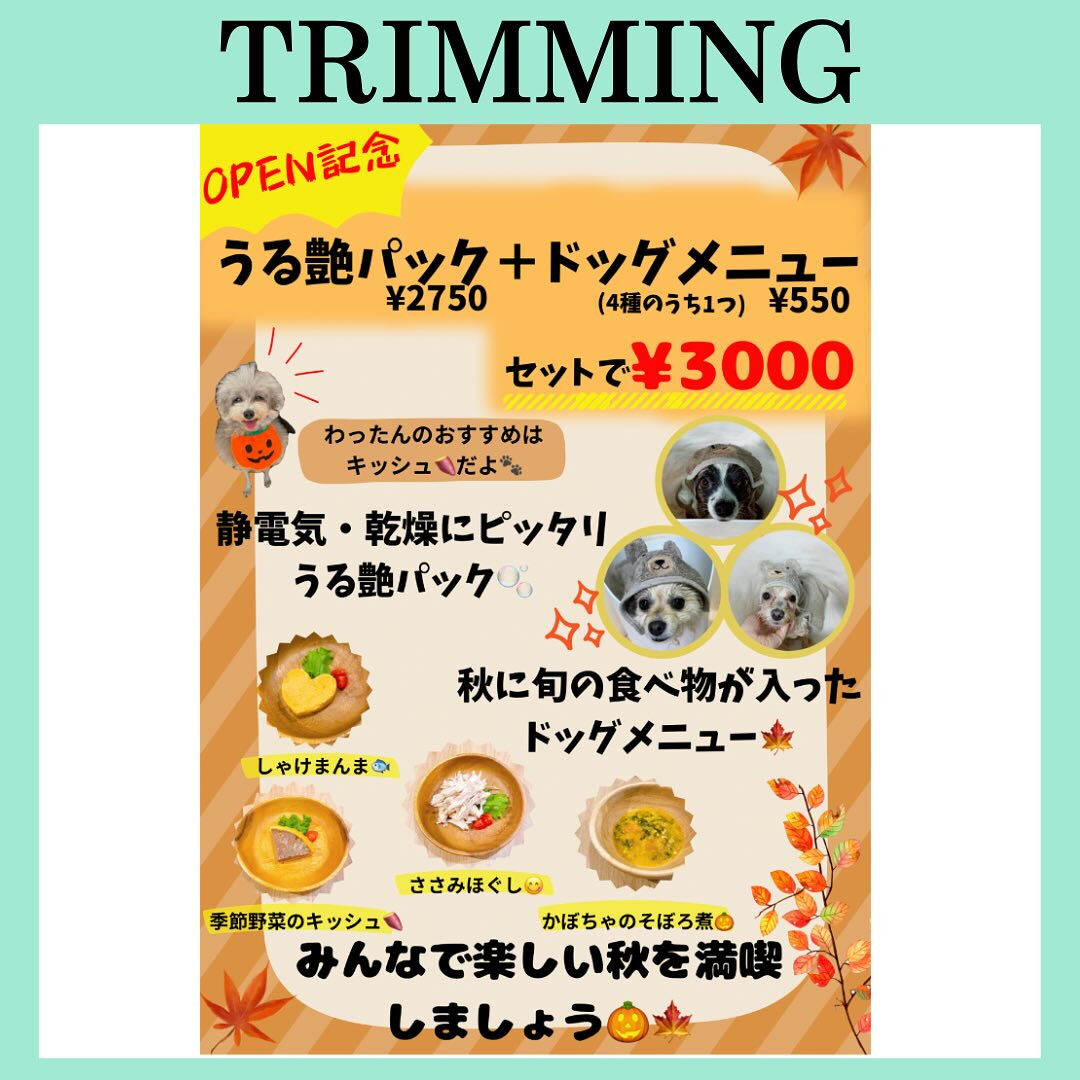こんにちは🌷