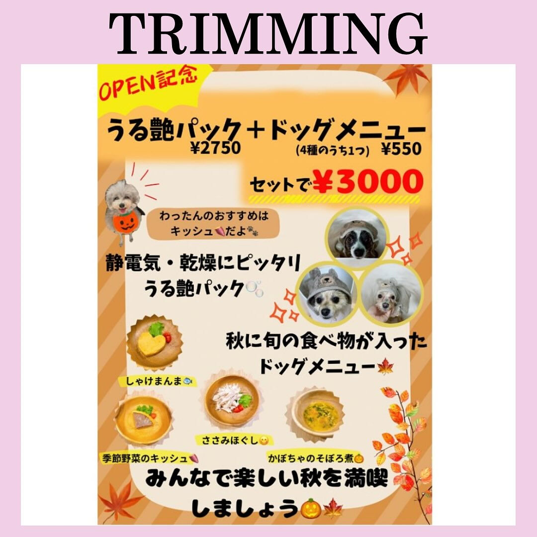 こんにちは🌷