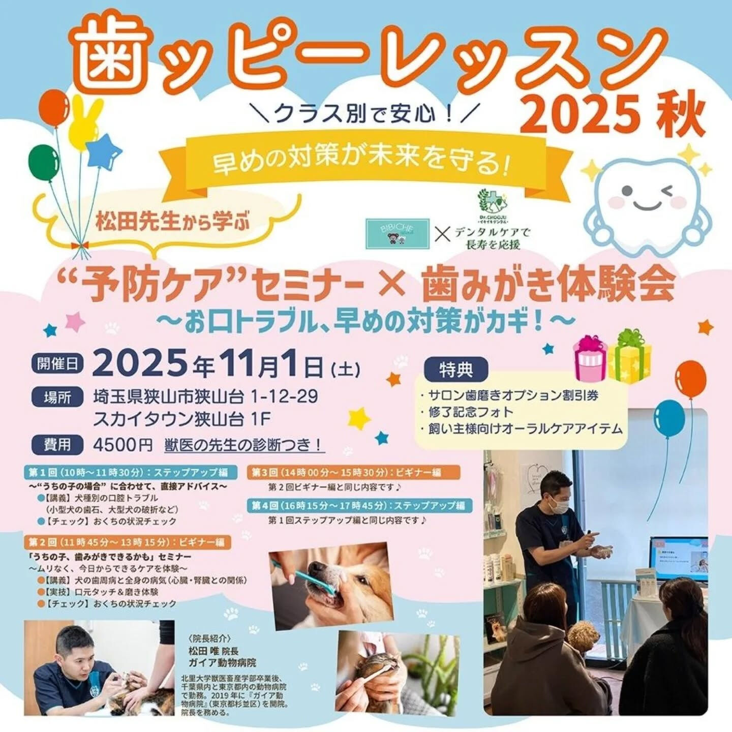 こんにちは🌷