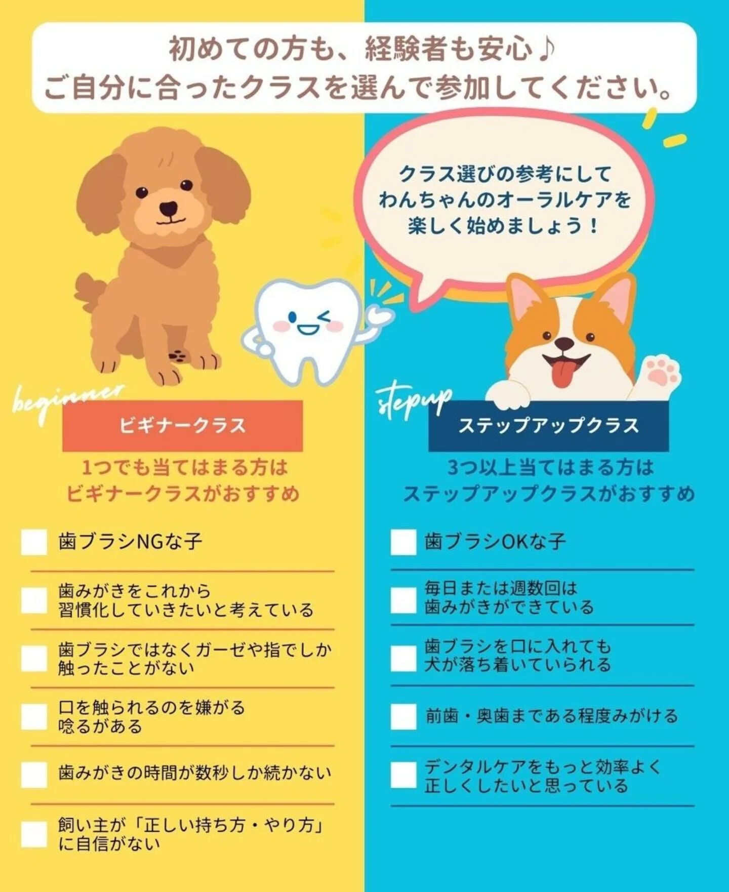 こんにちは🌷