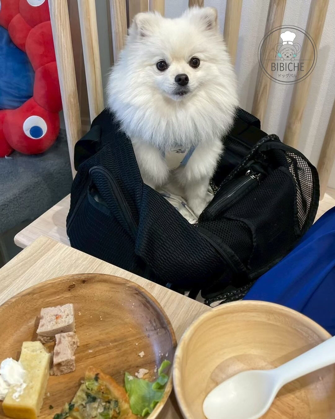 こんにちは🌷