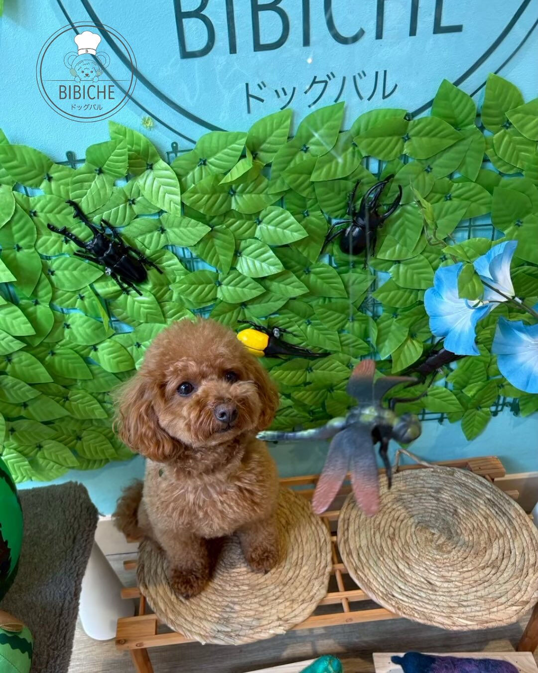 こんにちは🌷