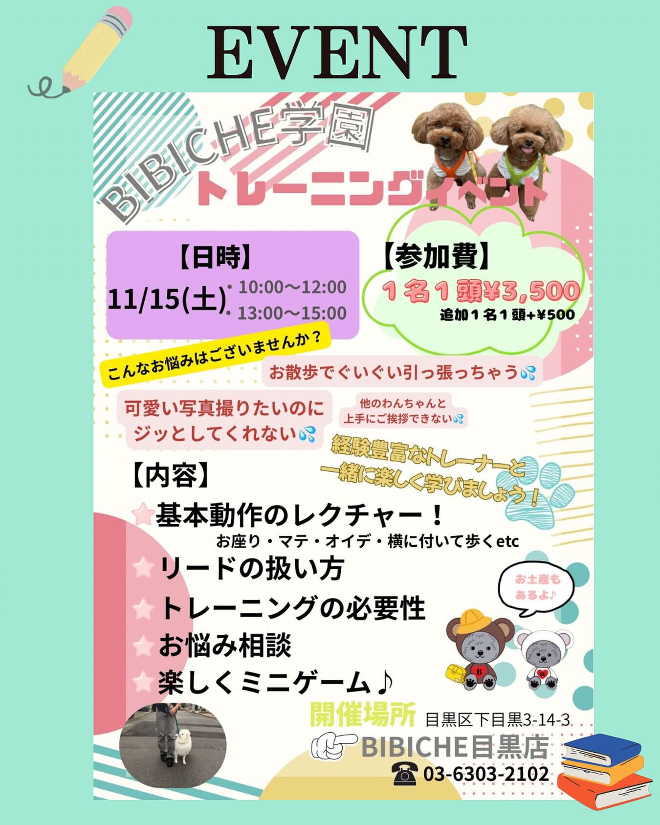 こんにちは🌷