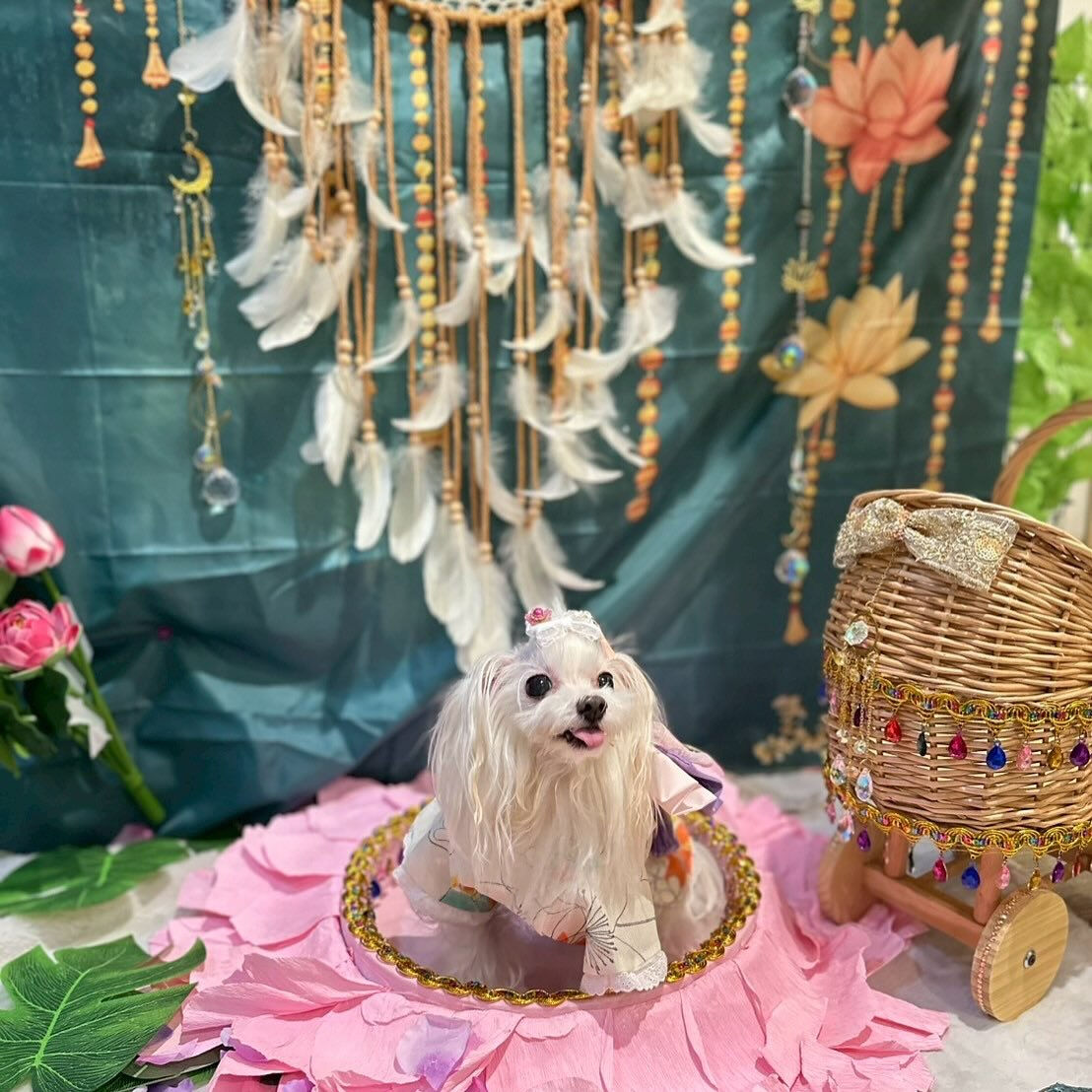こんにちは🌷