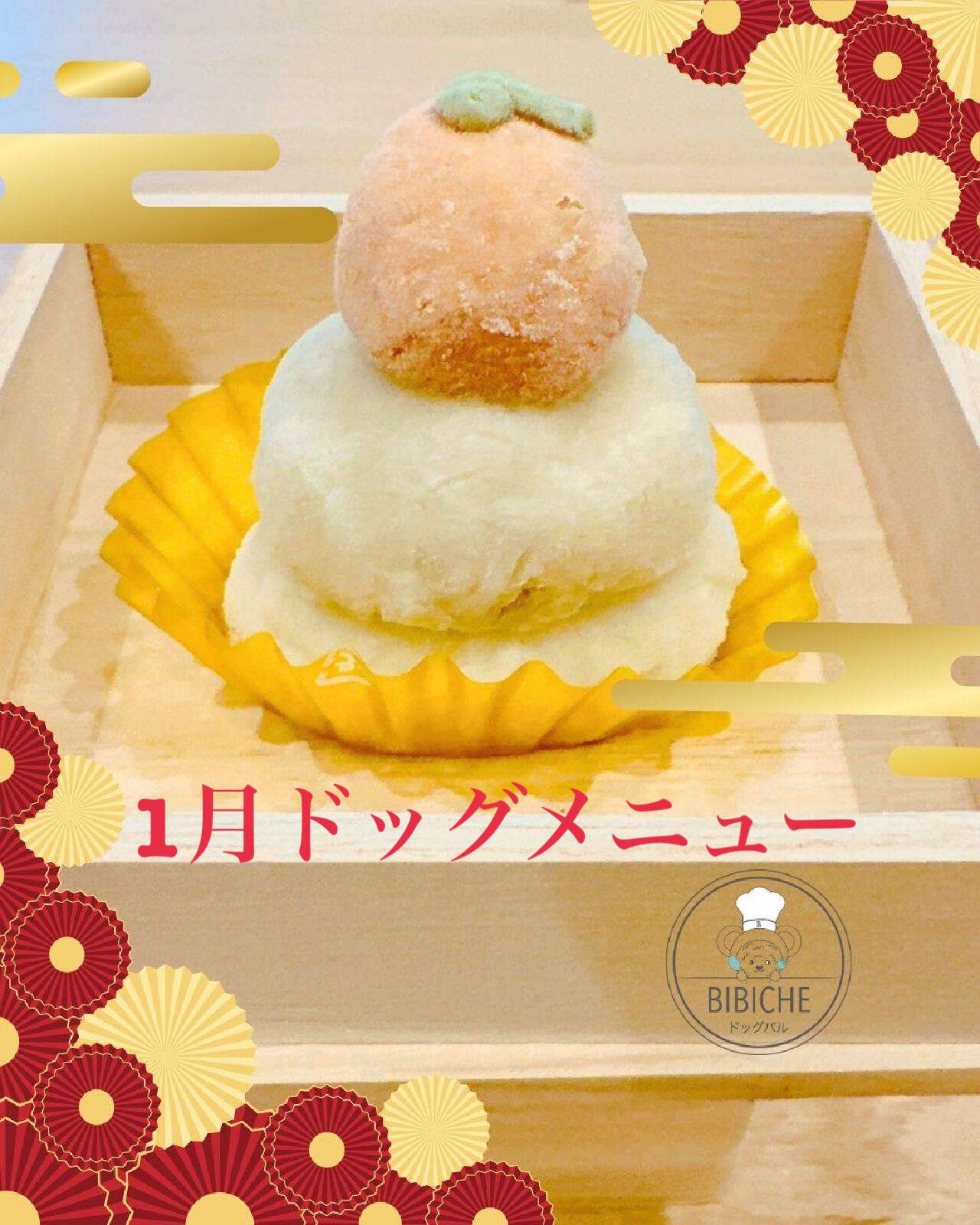 こんにちは🌷