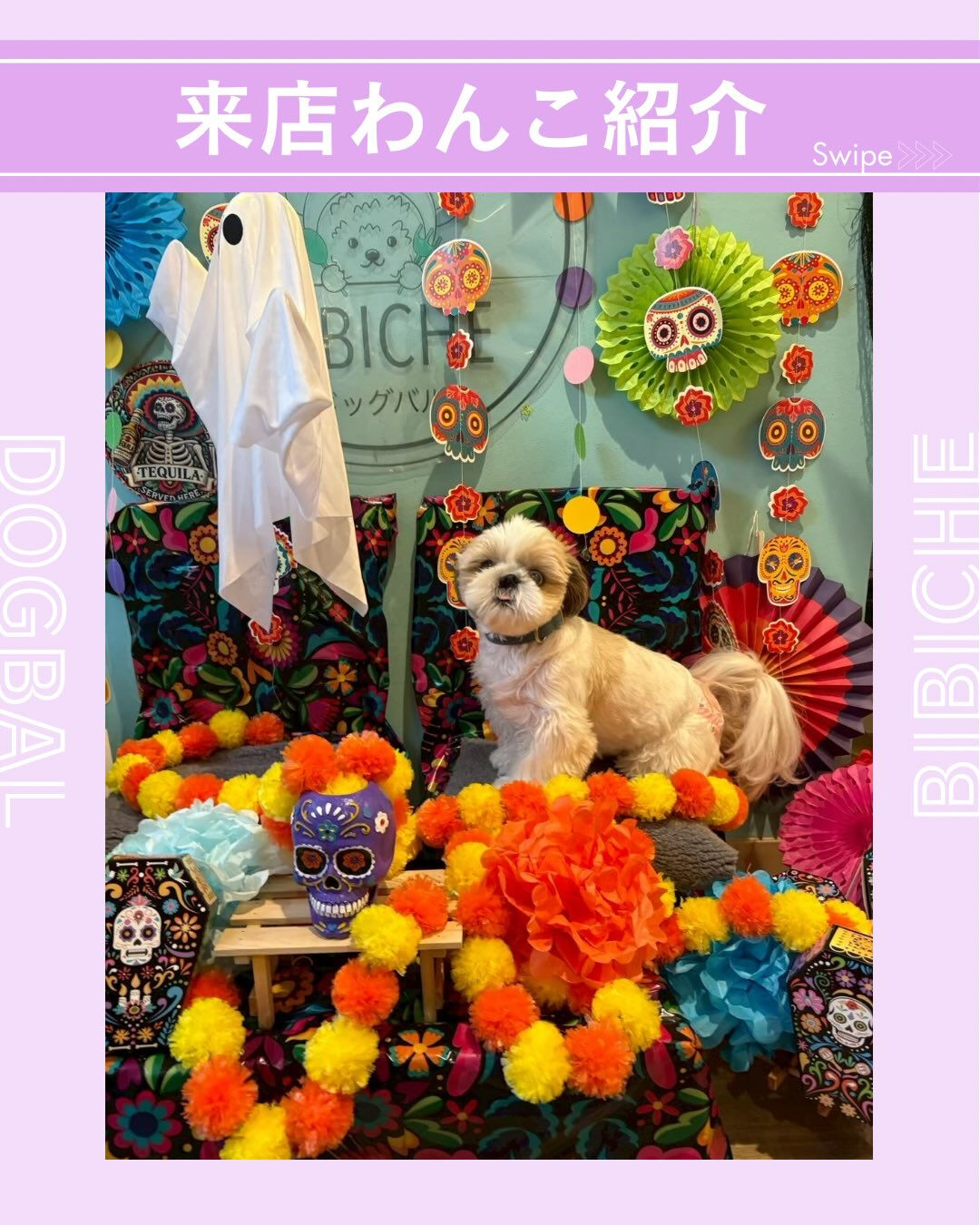 こんにちは🌷