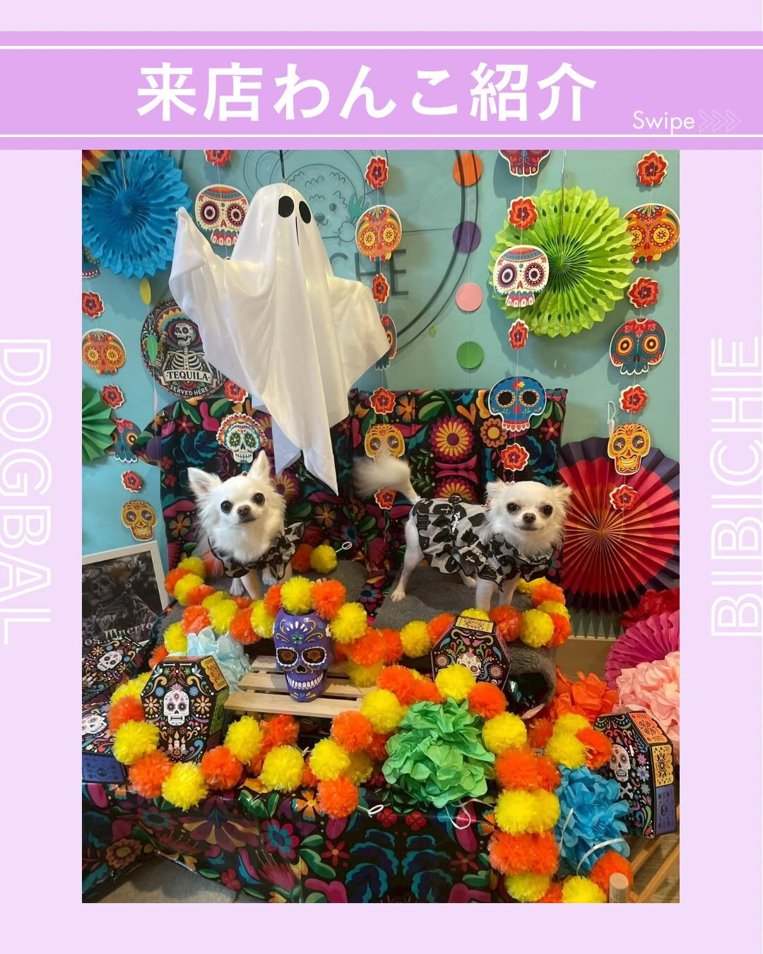 こんにちは🌷