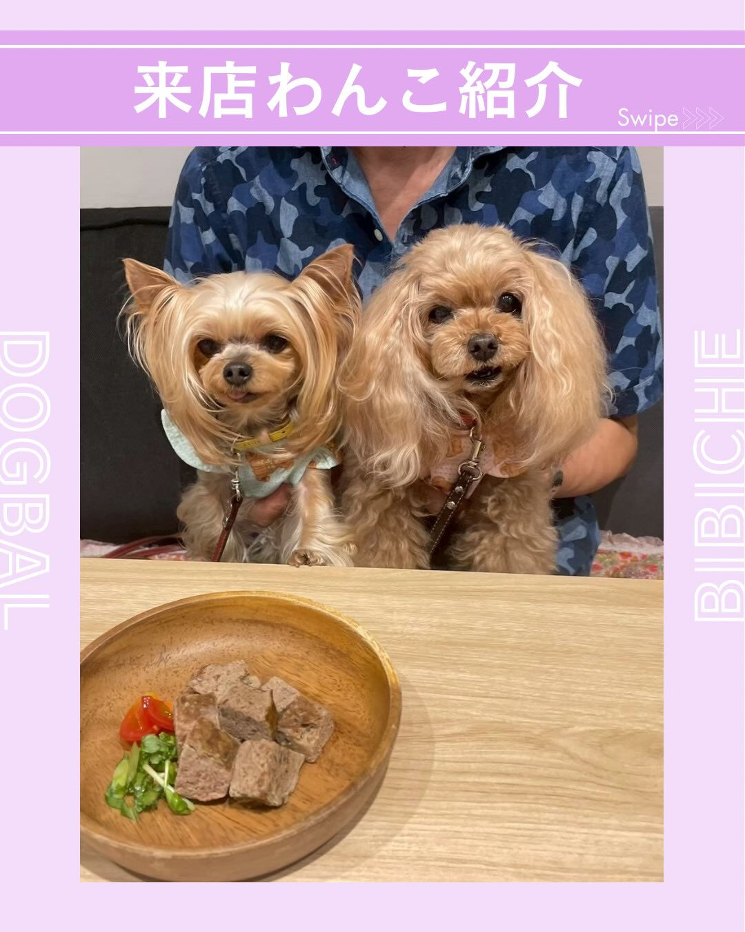 こんにちは🌷