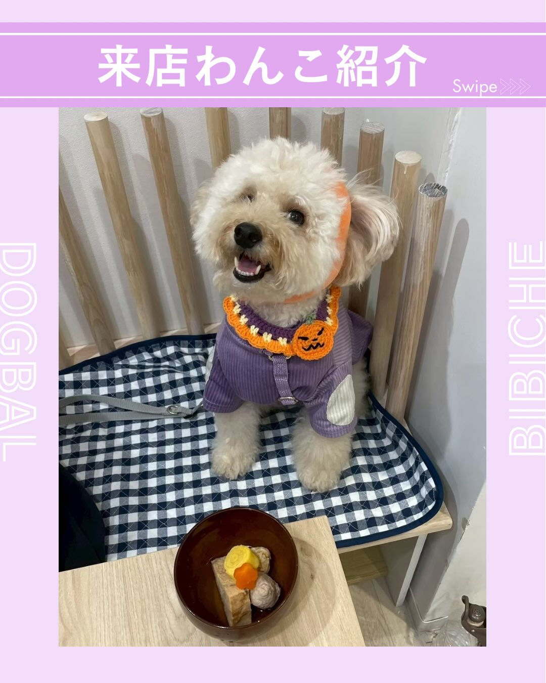 こんにちは🌷